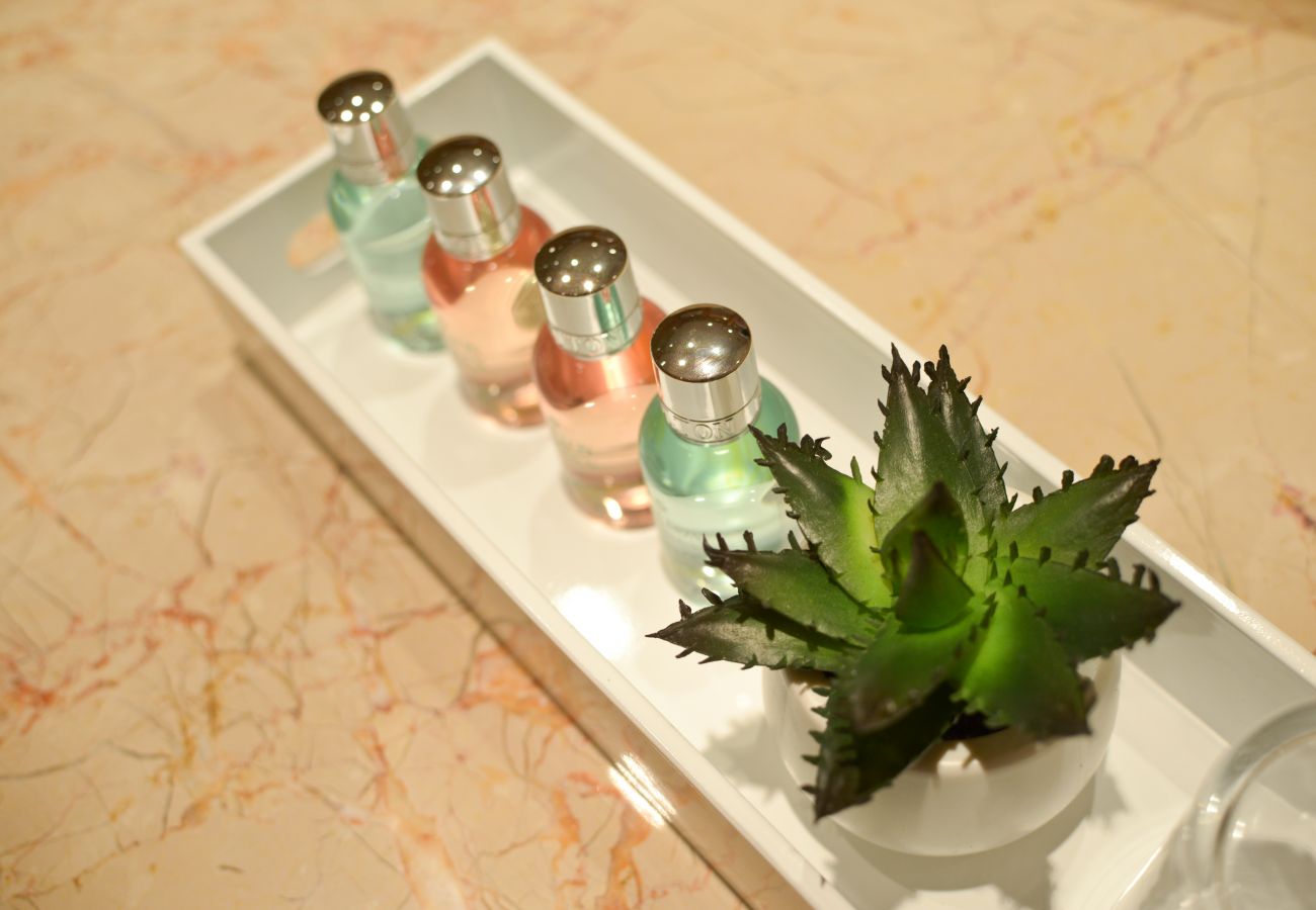 Apartamento em Lisboa - Apartamento T1 Vista Rio | Panoramic Living