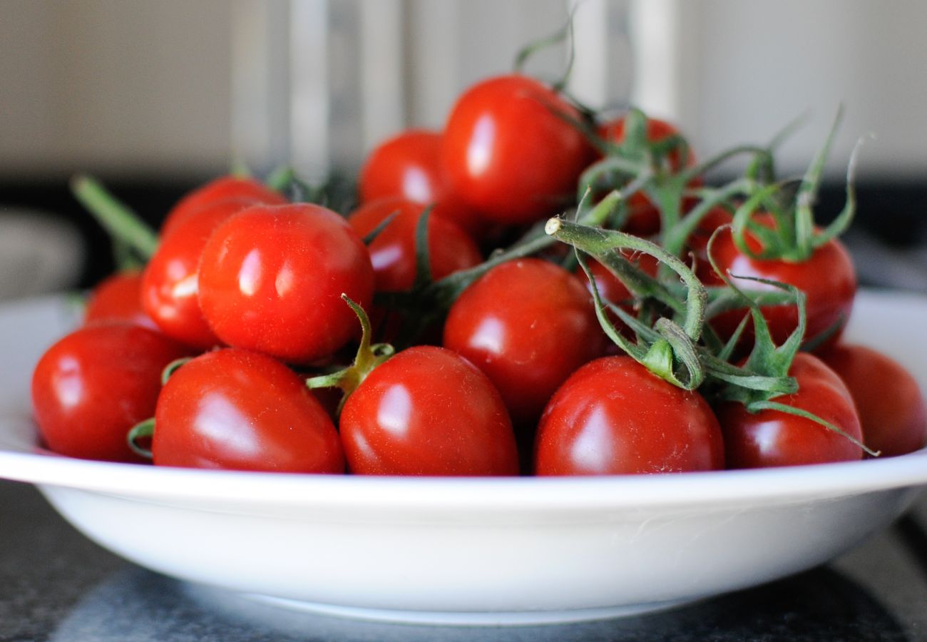 Studio in Lisbon - Studio Apartment with City View  | Panoramic Living